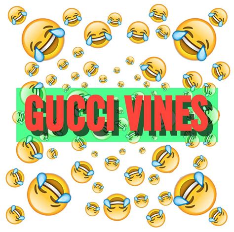 gucci pop tart vine|Vine Guccipoptart GIF .